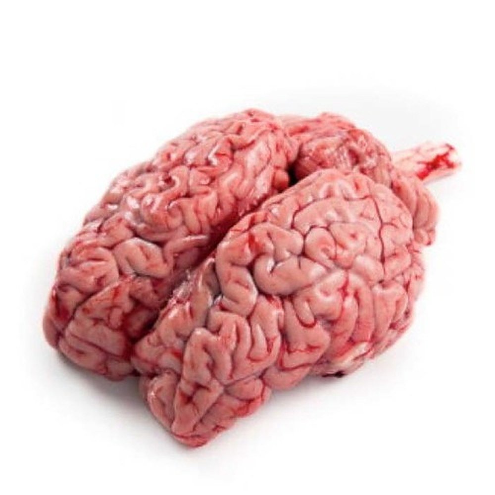 Beef Brain Raw